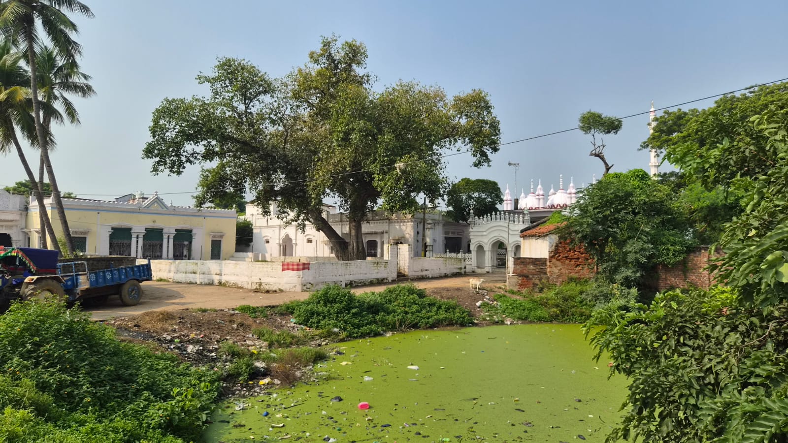 Bazidpur photo 6